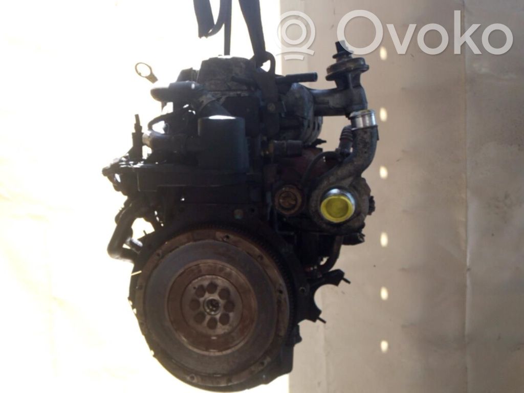 Motor