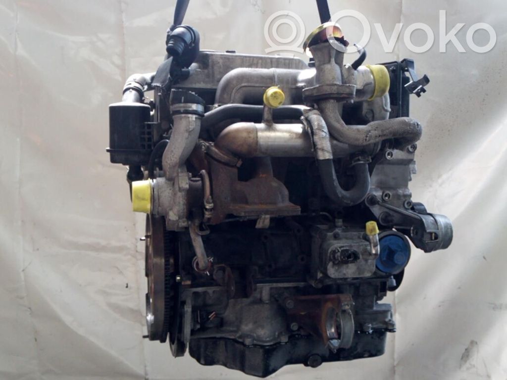 Ford Focus Motor 