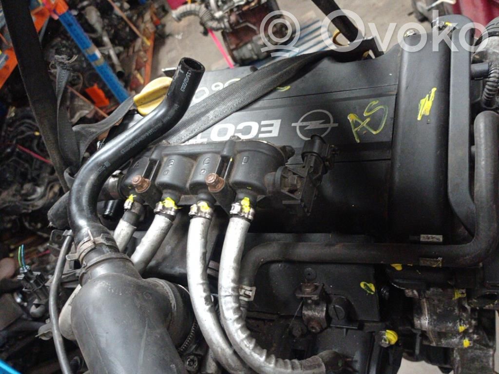 Motor