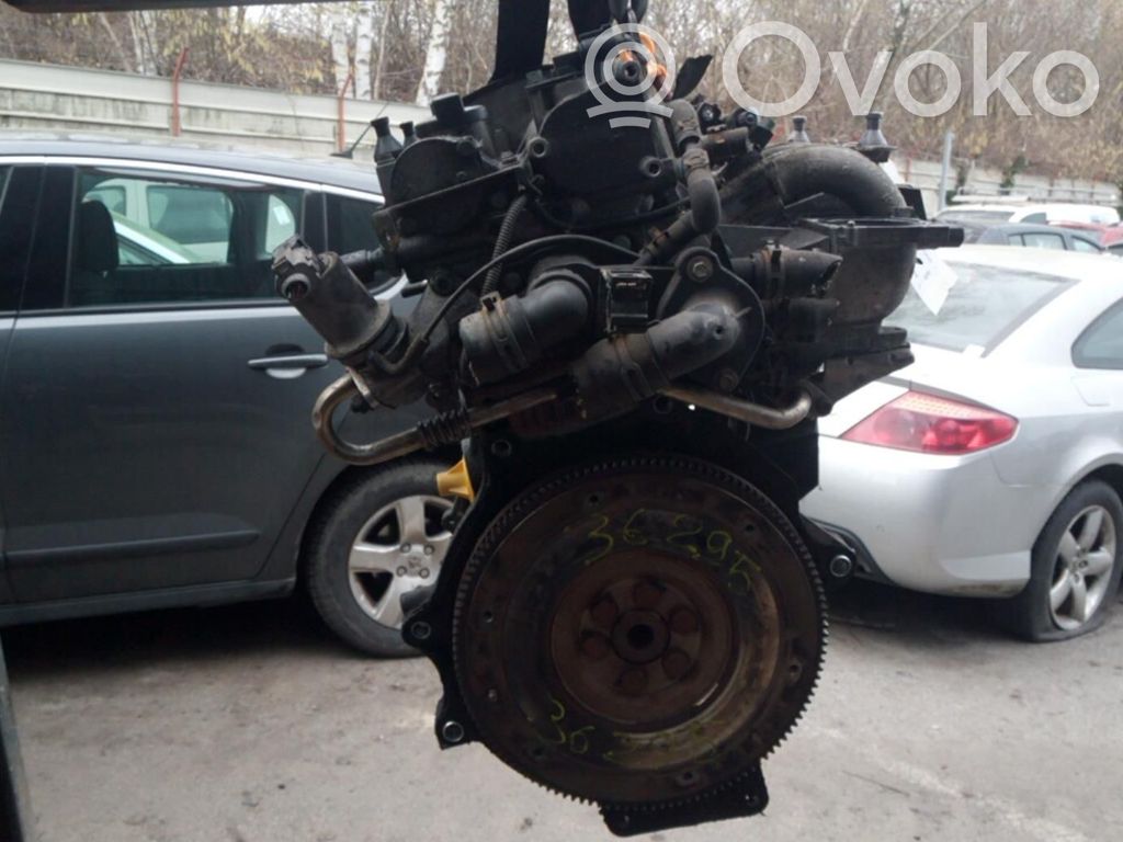 Motor