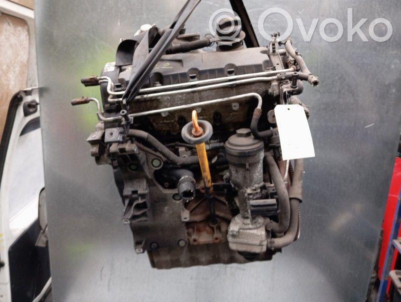 Motor