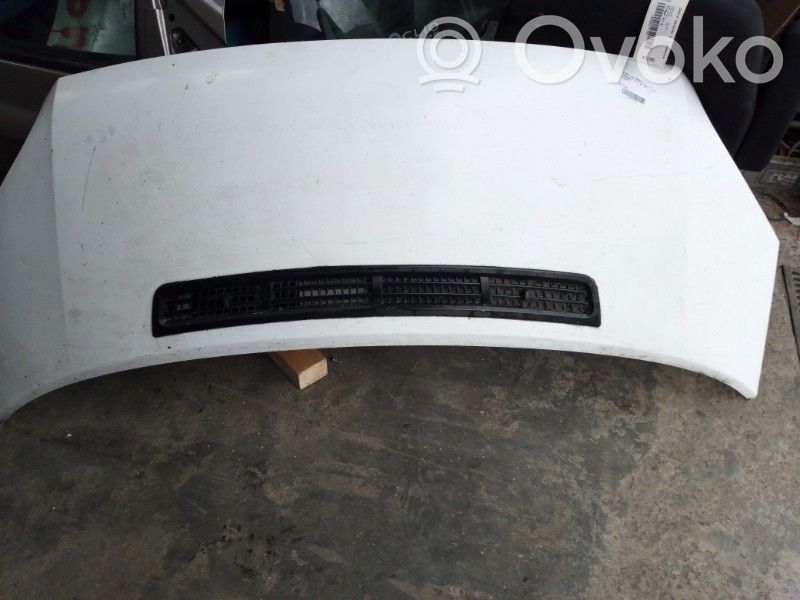 Motorhaube   2454107