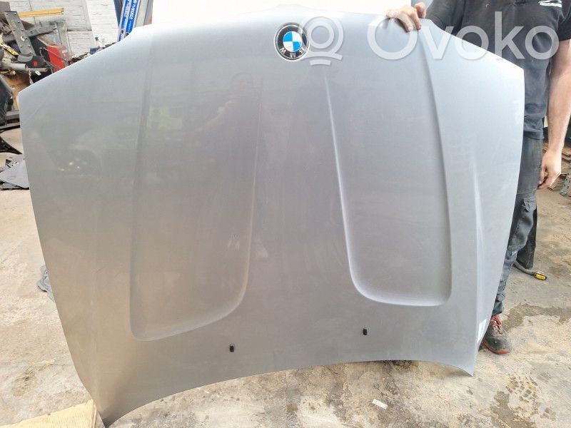 Capó/tapa del motor   41003449411