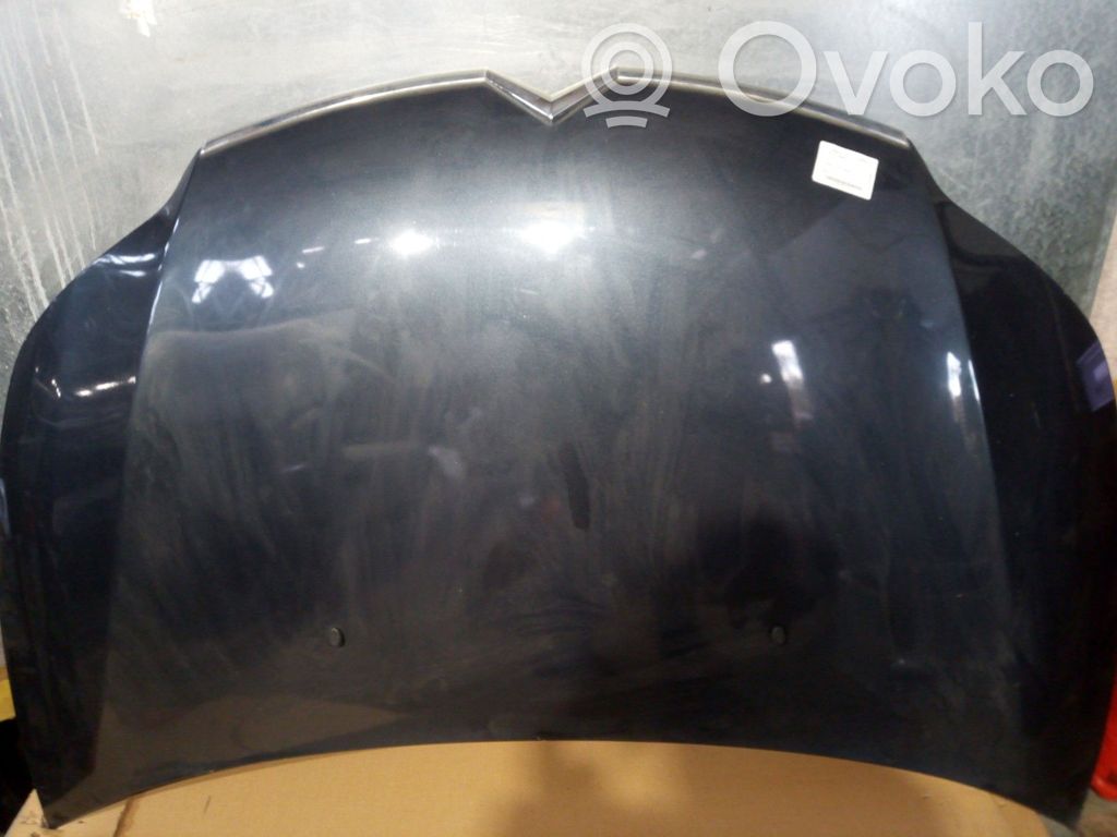 Konepelti   7901Q6