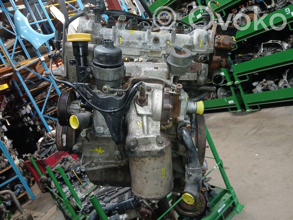 Motor