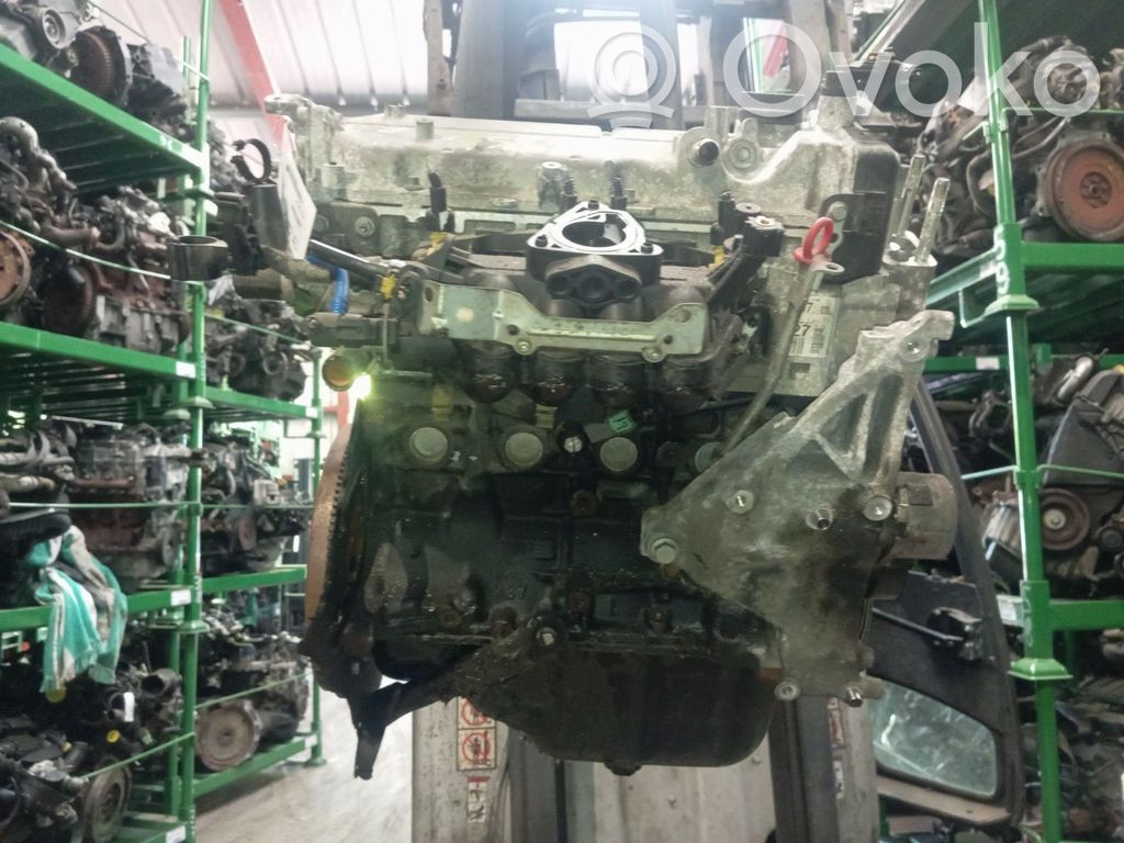Motor   71751091
