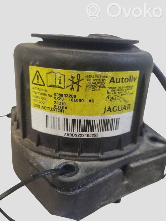 Jaguar XF X250 Airbag per pedoni 