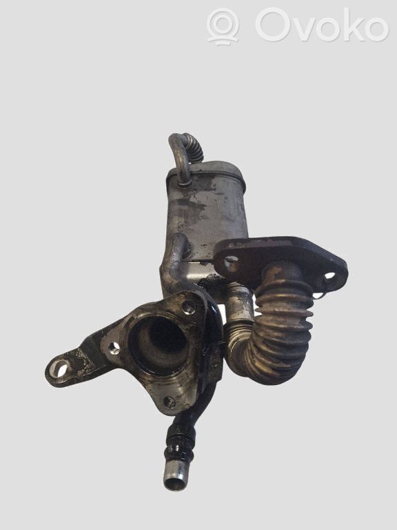 Nissan Qashqai Valvola di raffreddamento EGR