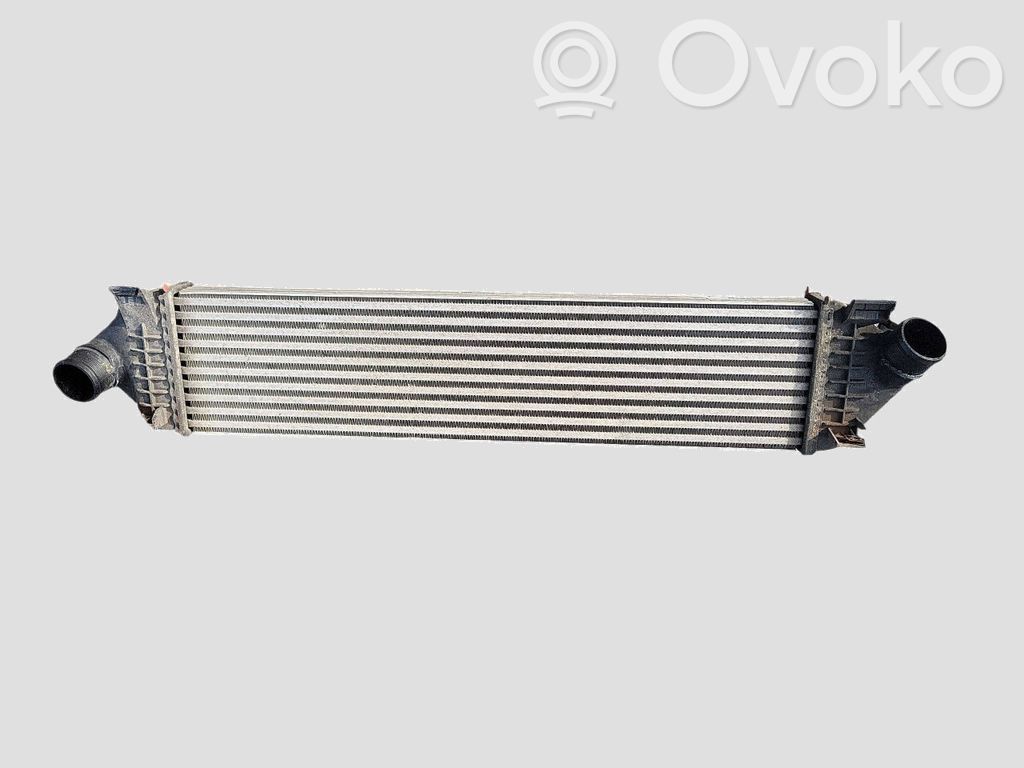 Ford Focus Radiatore intercooler 