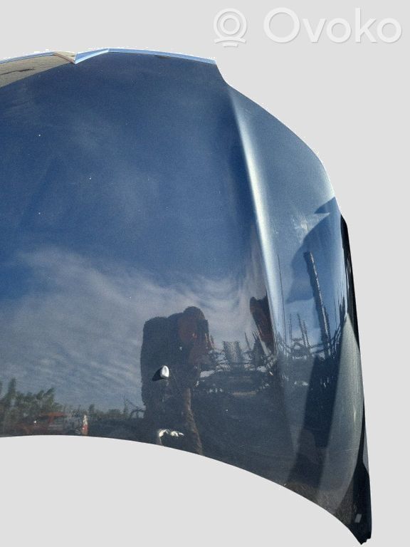 Engine bonnet/hood
