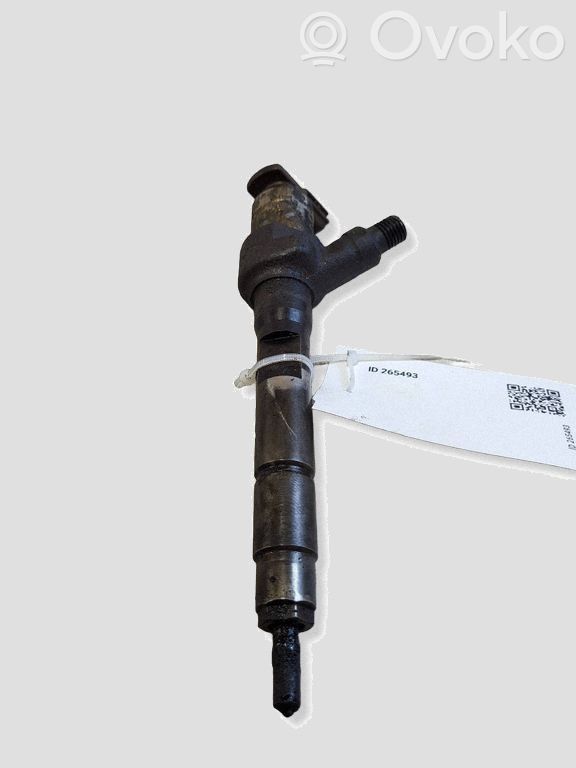 Injector combustibil   R2AA13H50