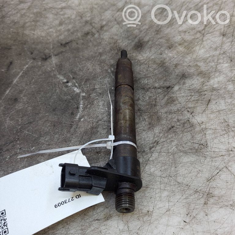 Land Rover Freelander 2 - LR2 Injector combustibil 