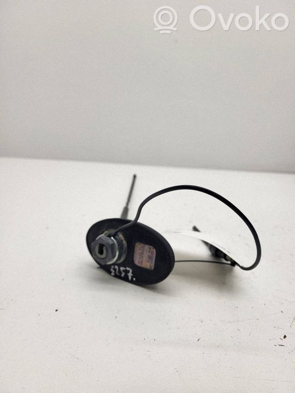 Peugeot 308 Antenna autoradio 