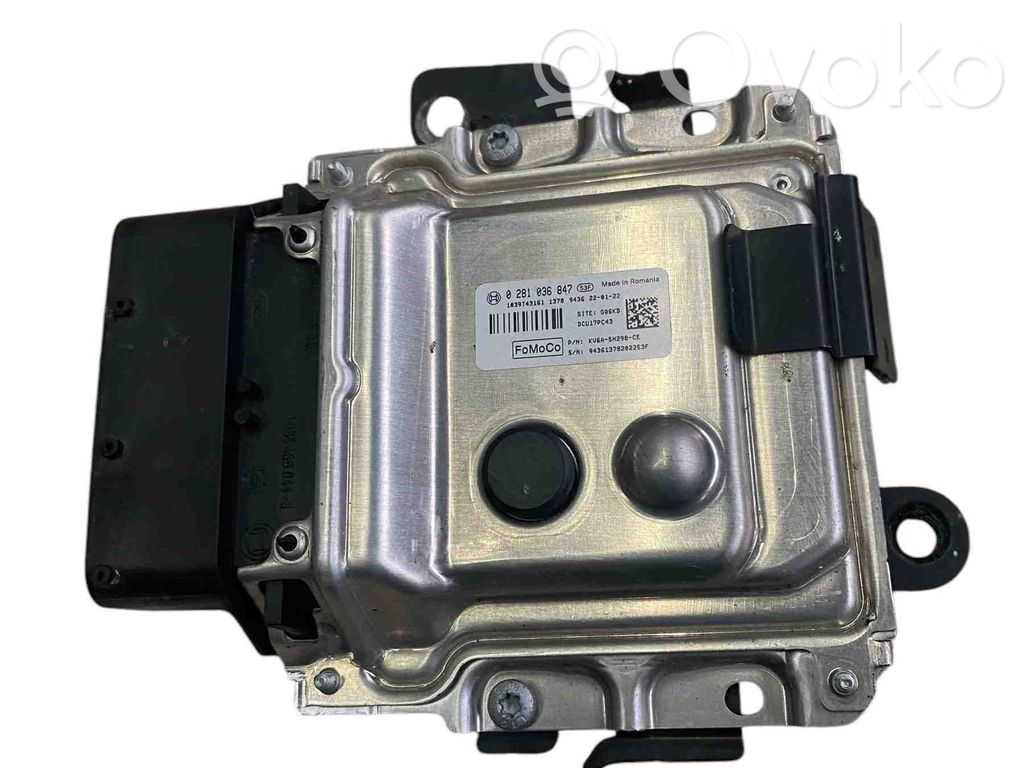 Ford Transit Adblue control unit 