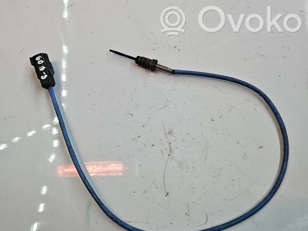 Peugeot Boxer Izplūdes gāzu temperatūras sensors 
