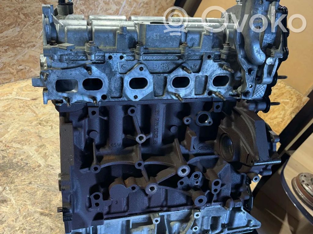 Ford Transit Custom Motor 