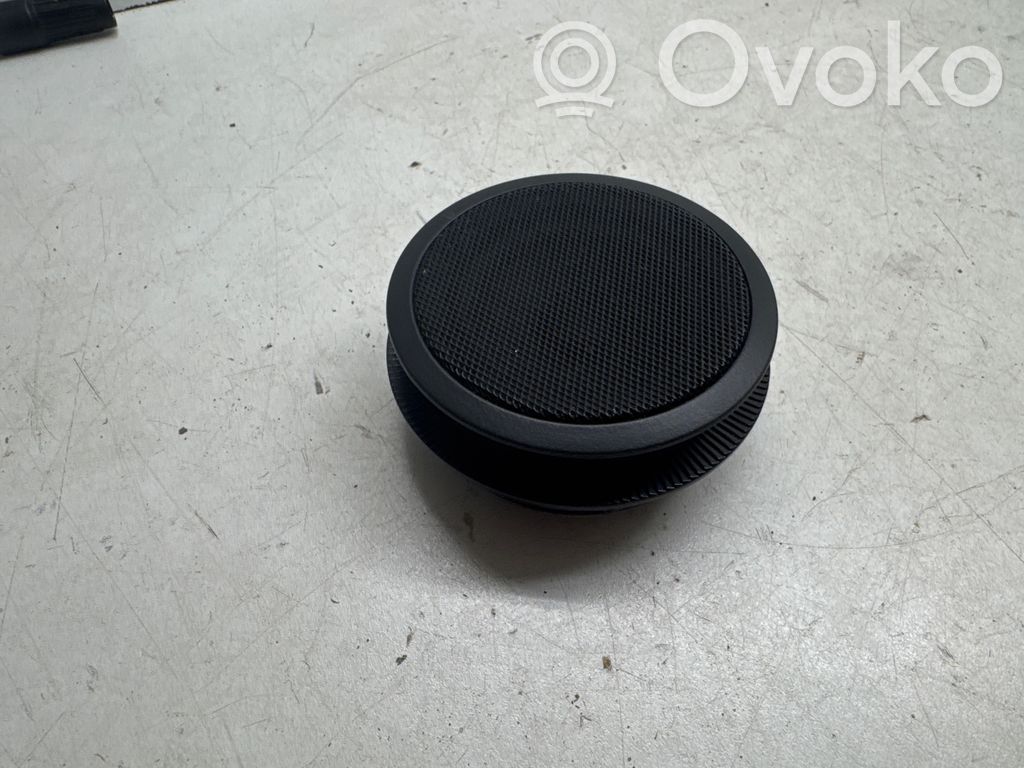 BMW X5 E53 Front door speaker 