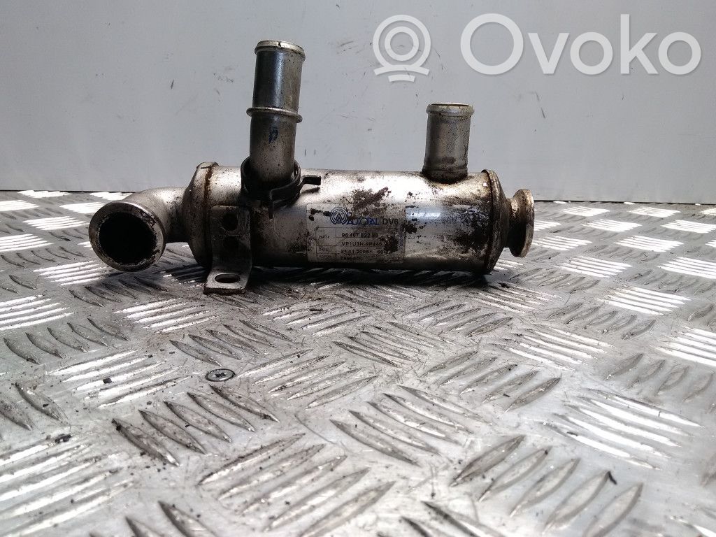 Peugeot 307 Refrigerador de la válvula EGR 