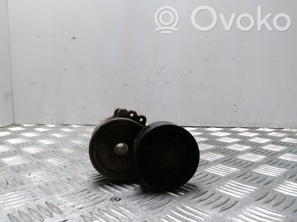 Volvo V50 Generatoriaus diržo įtempėjas 