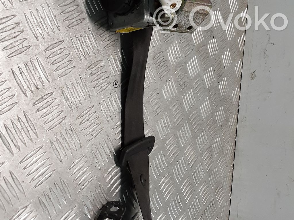 Cinturón trasero