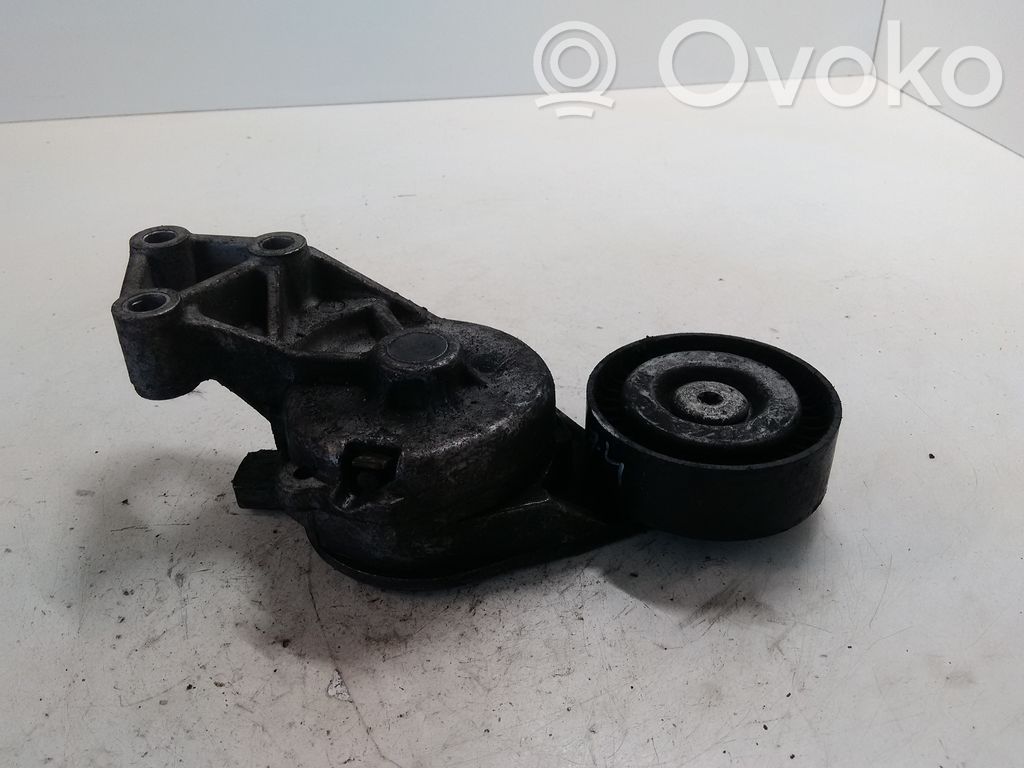 Volkswagen Bora Diržo įtempėjas 