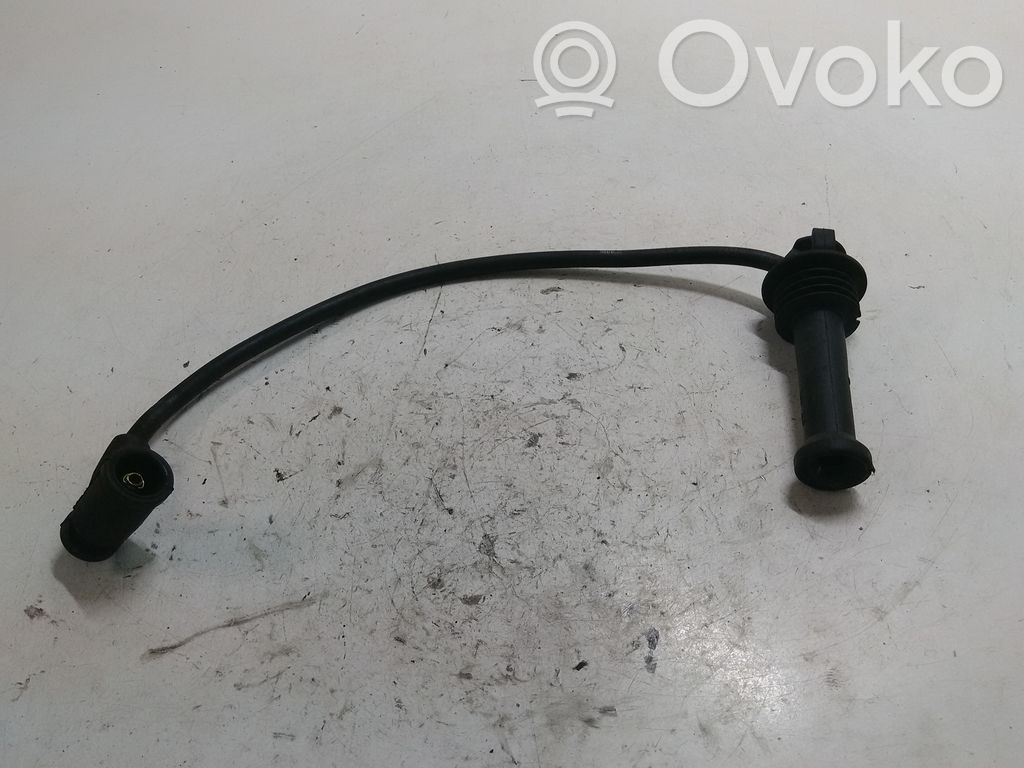 Ford Focus Ignition plug leads 