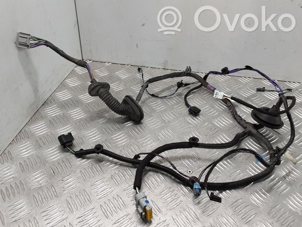 Tesla Model S Cableado de puerta trasera 