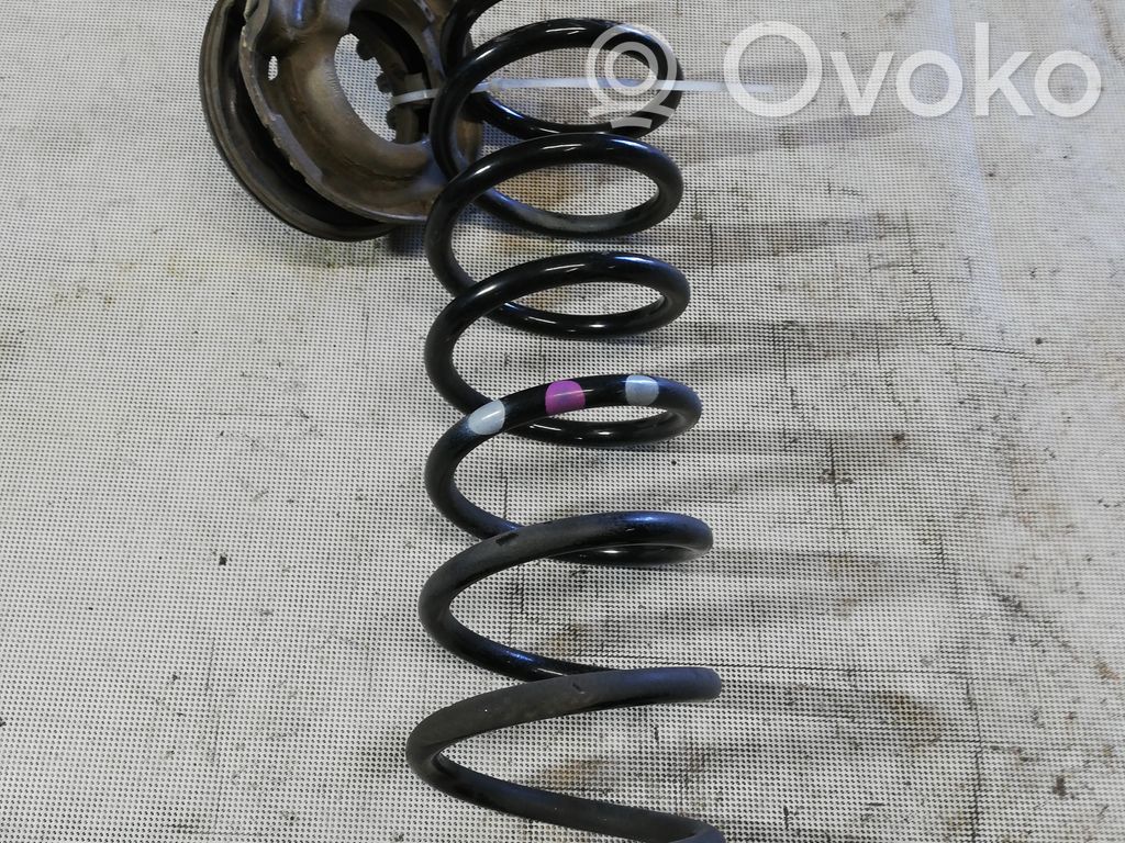 Rear coil spring