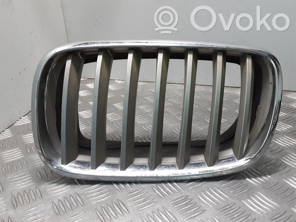 Front grill   7171395,51137171395