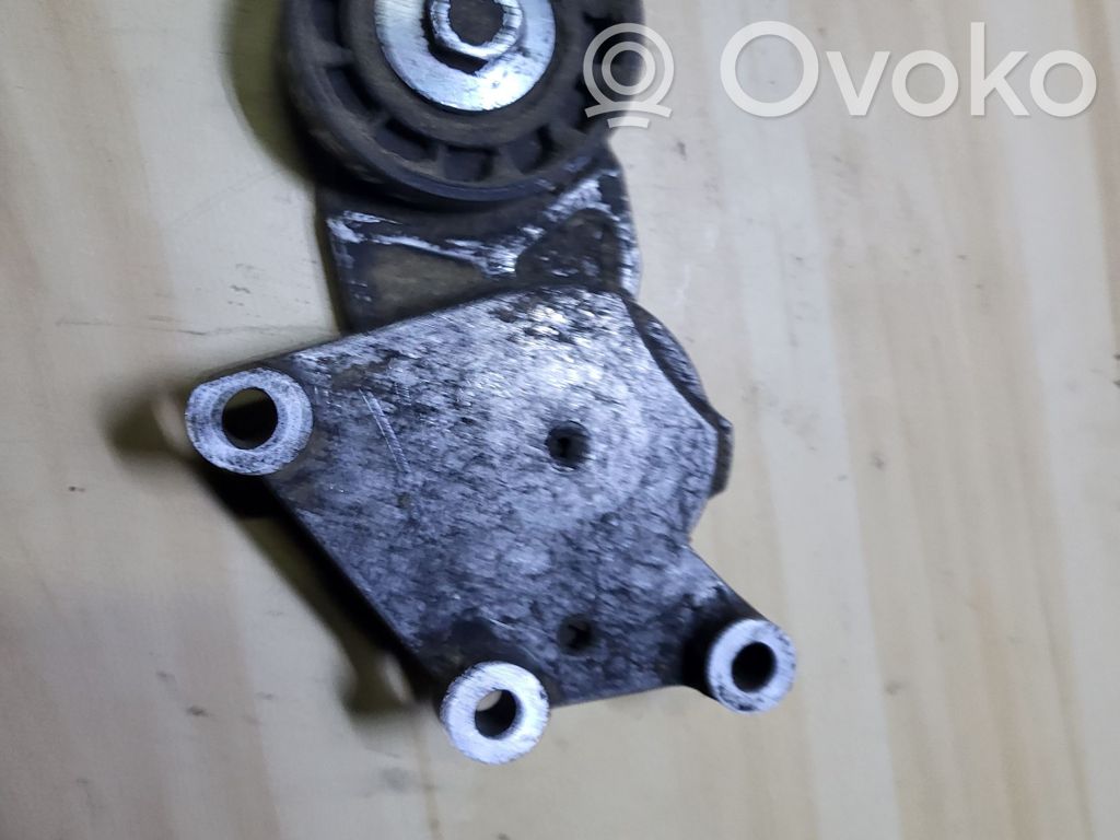 Ford Focus Generatoriaus diržo įtempėjas 