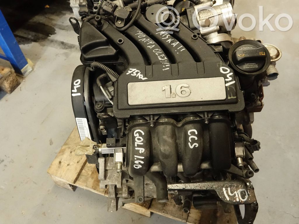 Volkswagen Golf VI Engine 