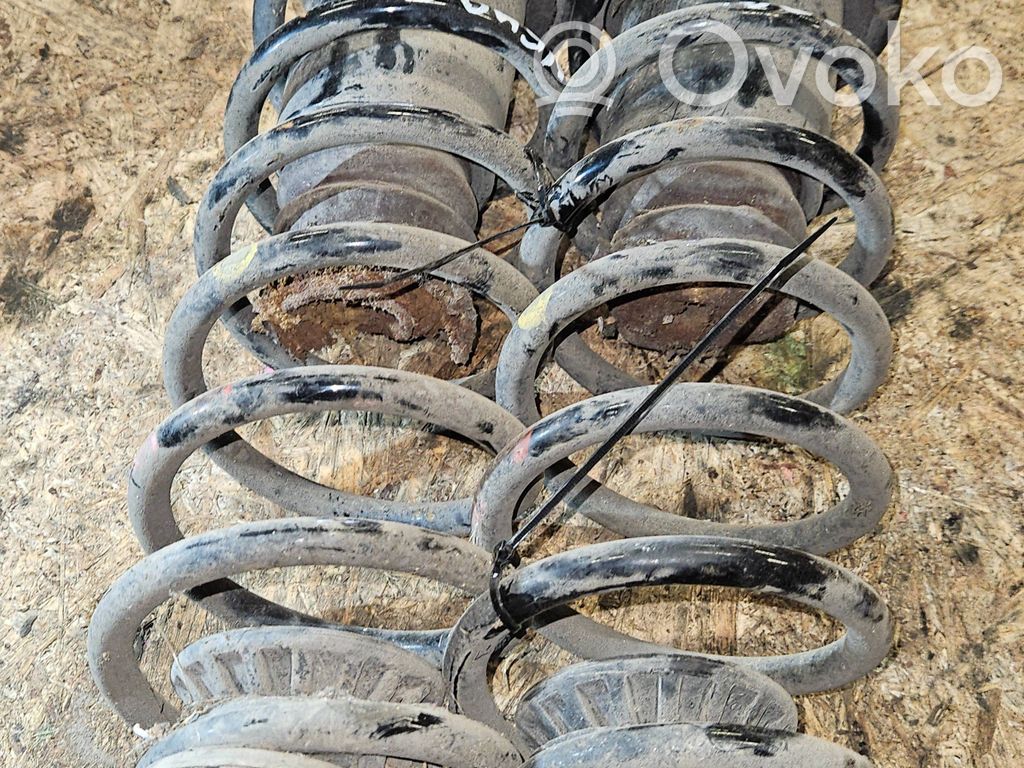 Muelle espiral trasero