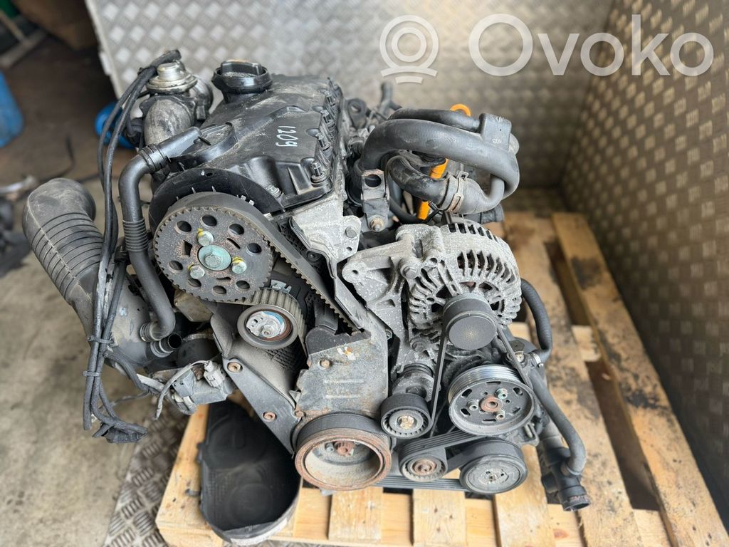 Motor   AVF