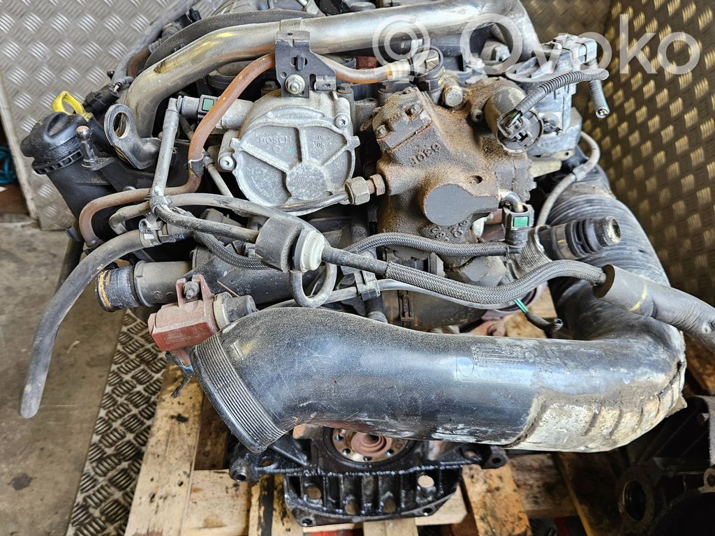 Variklis   D4204T
