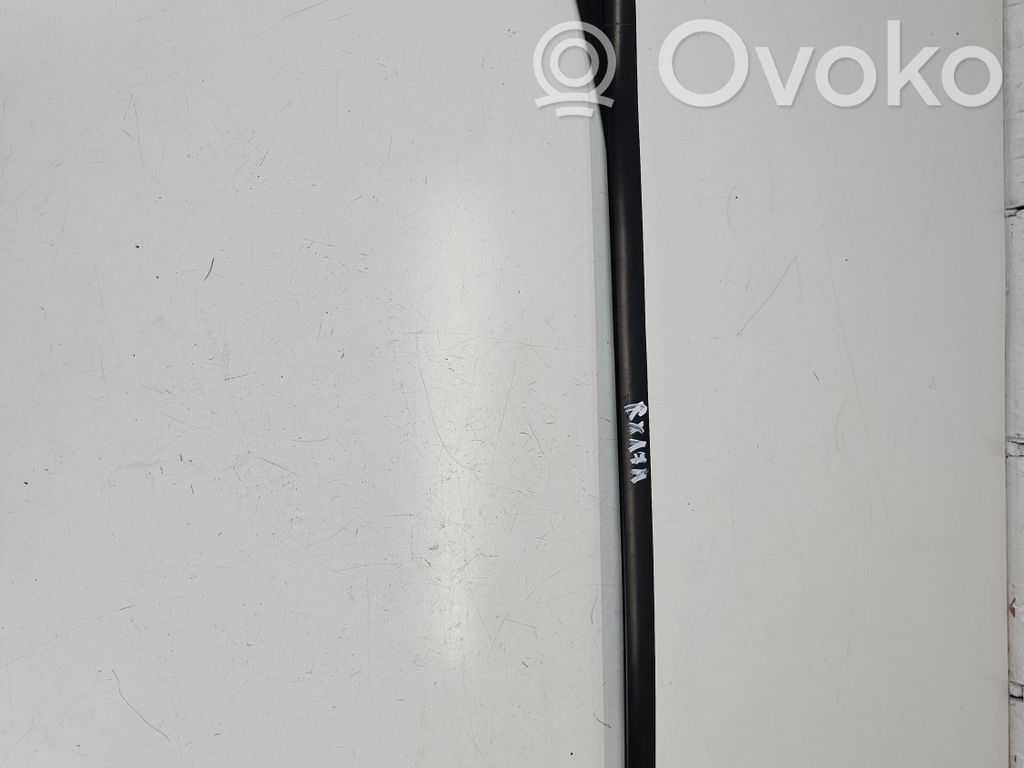 Windshield trim   74R