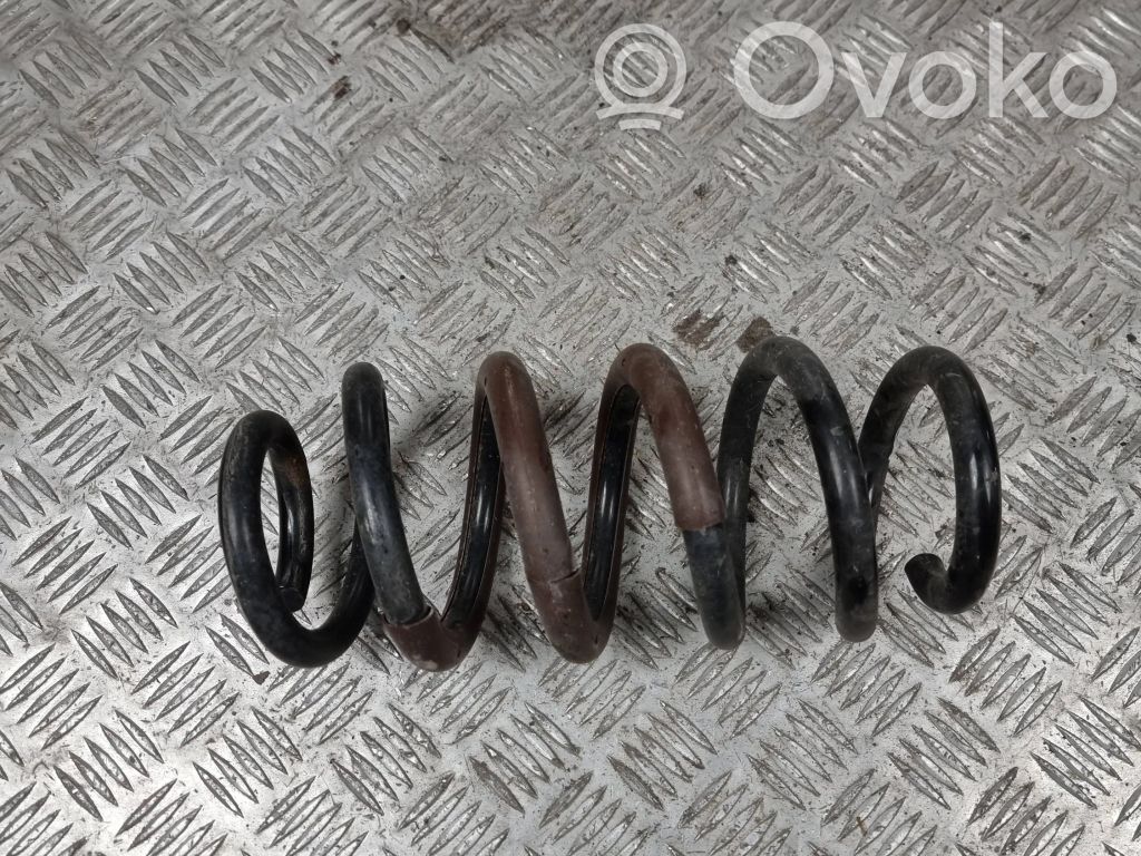 Rear coil spring