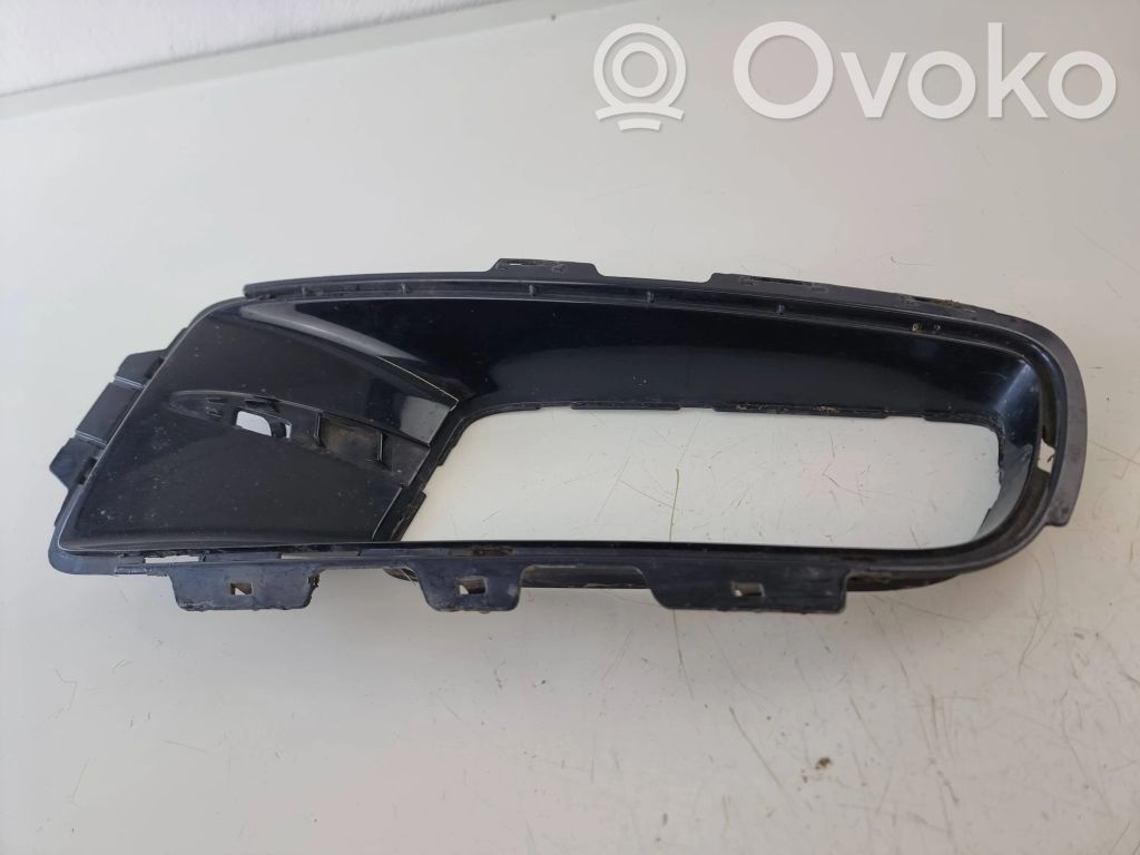 BMW X5 E70 Front bumper lower grill 