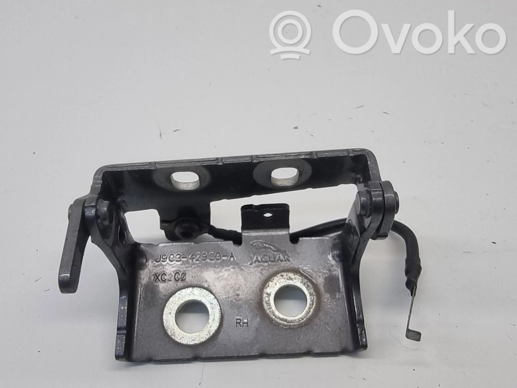 Jaguar E-Pace Engine bonnet/hood hinges 