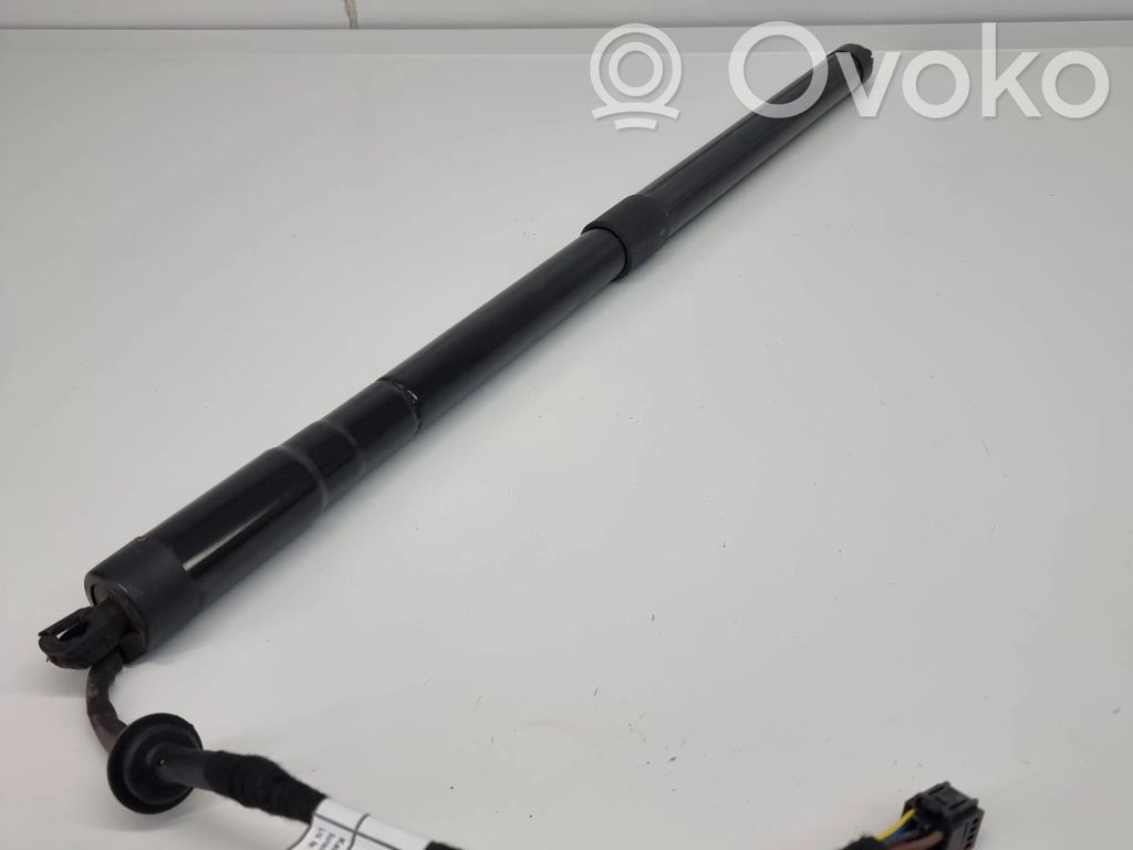 Land Rover Range Rover Sport L494 Amortizor hayon 