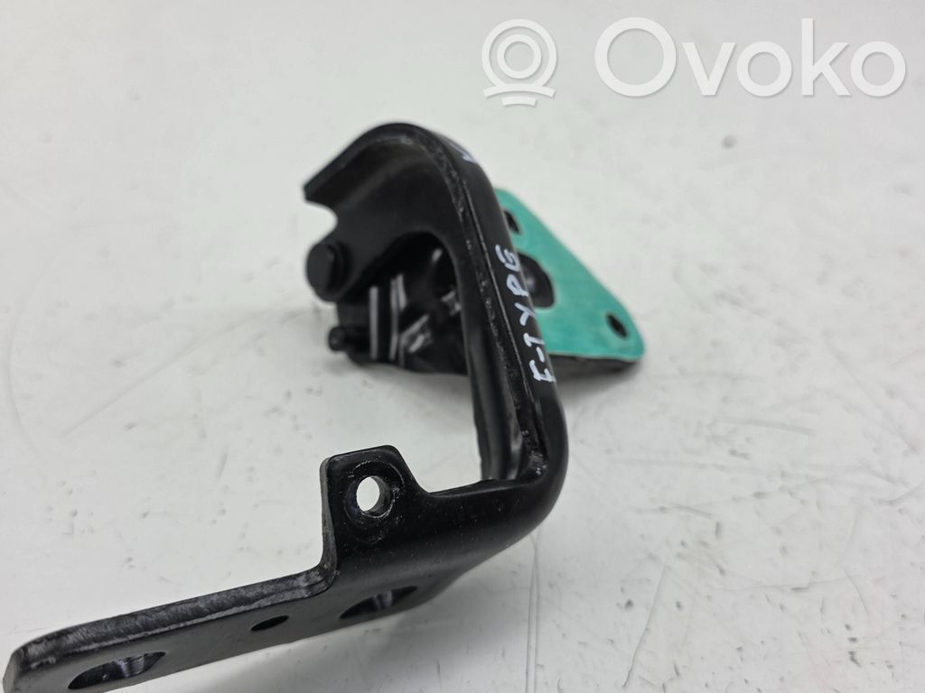 Tailgate/trunk/boot hinge   EX5342901