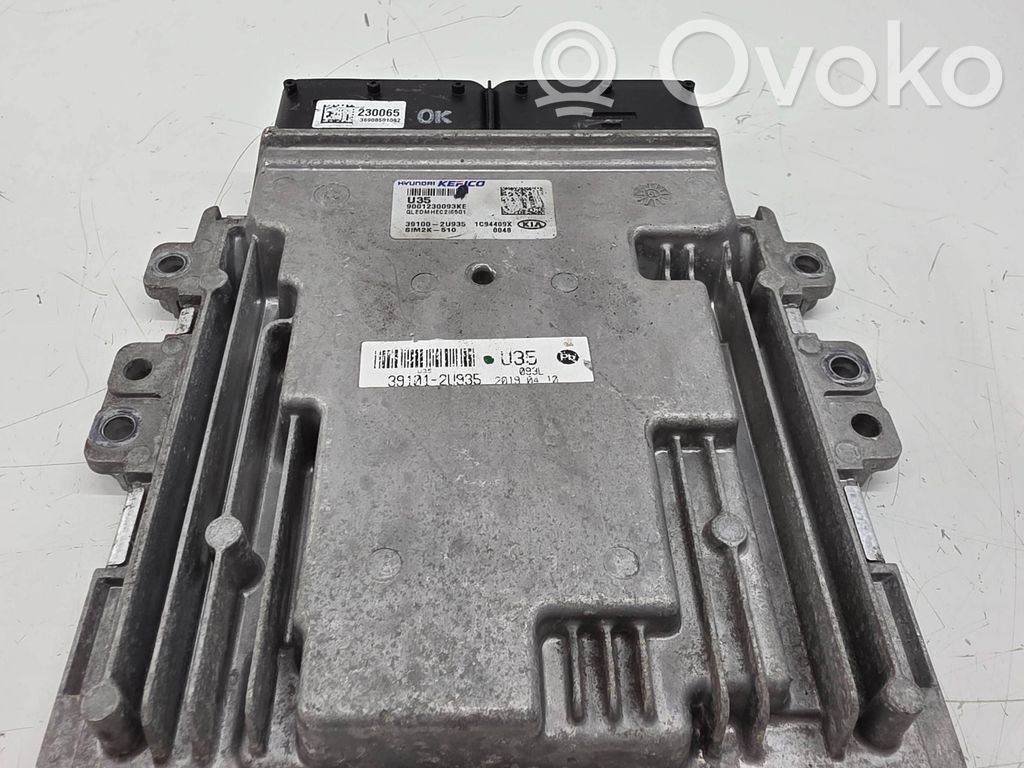 Engine control unit/module   391002U935