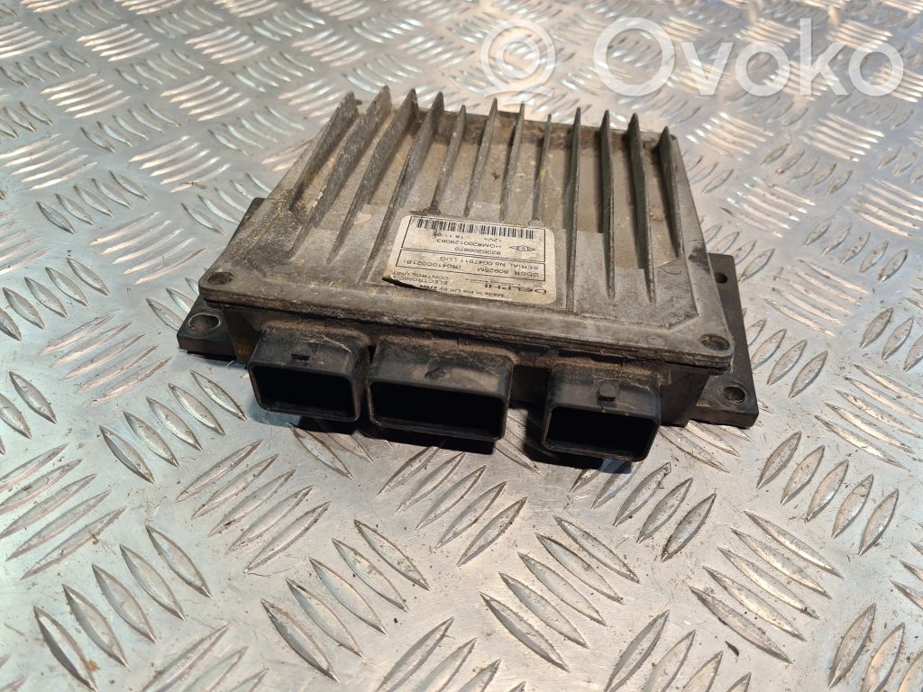 Renault Clio II Engine control unit/module 