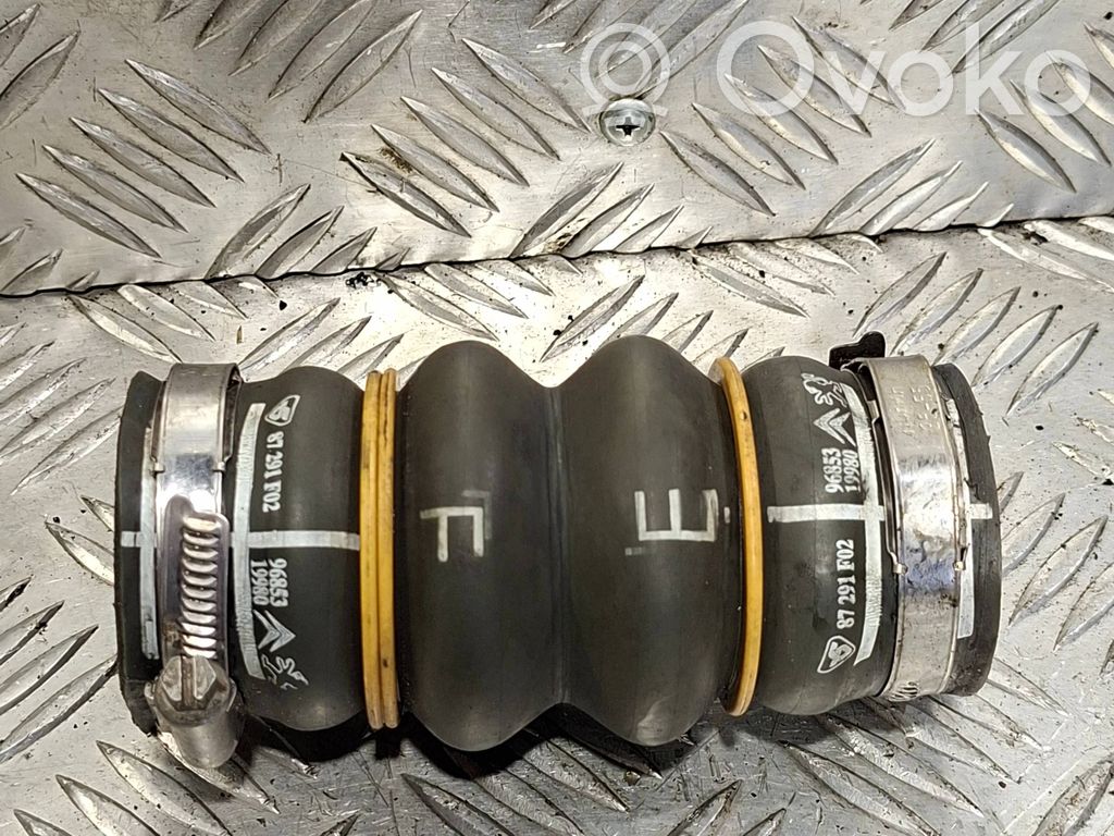 Citroen DS3 Intercooler hose/pipe 