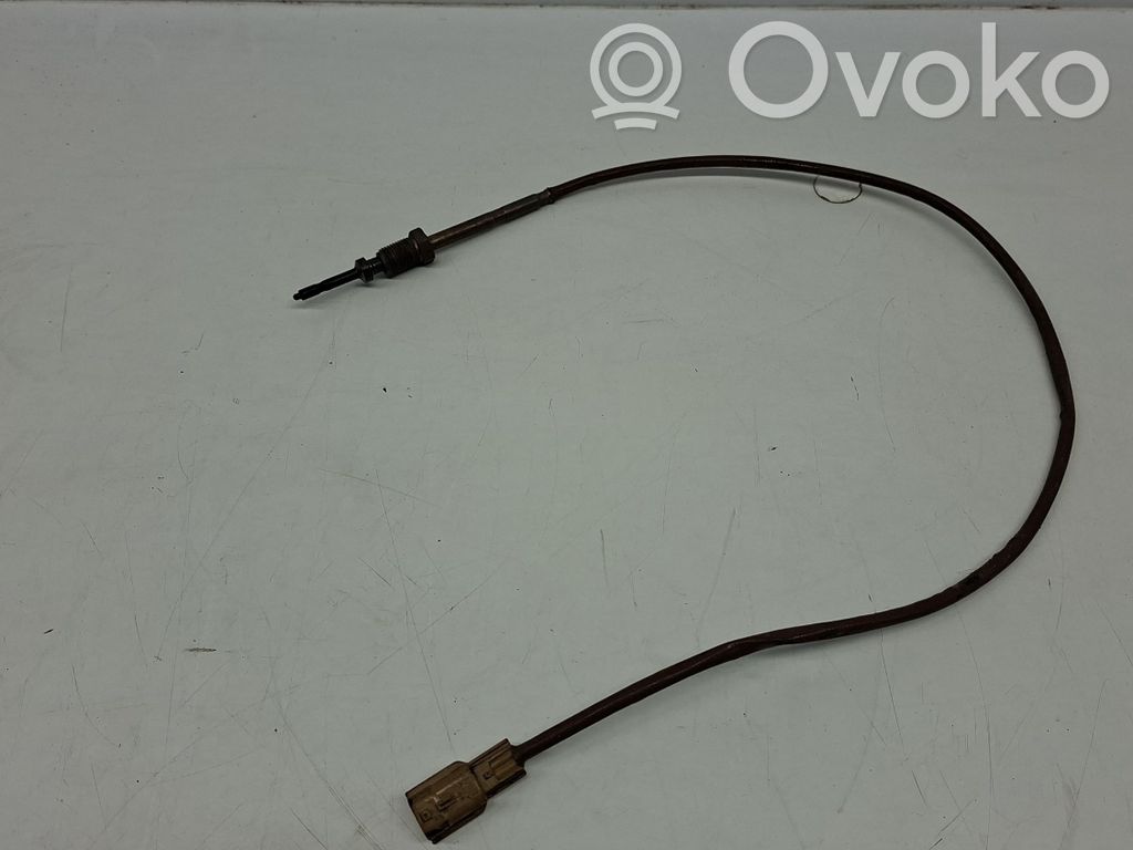 Nissan Qashqai Išmetamųjų dujų temperatūros daviklis 