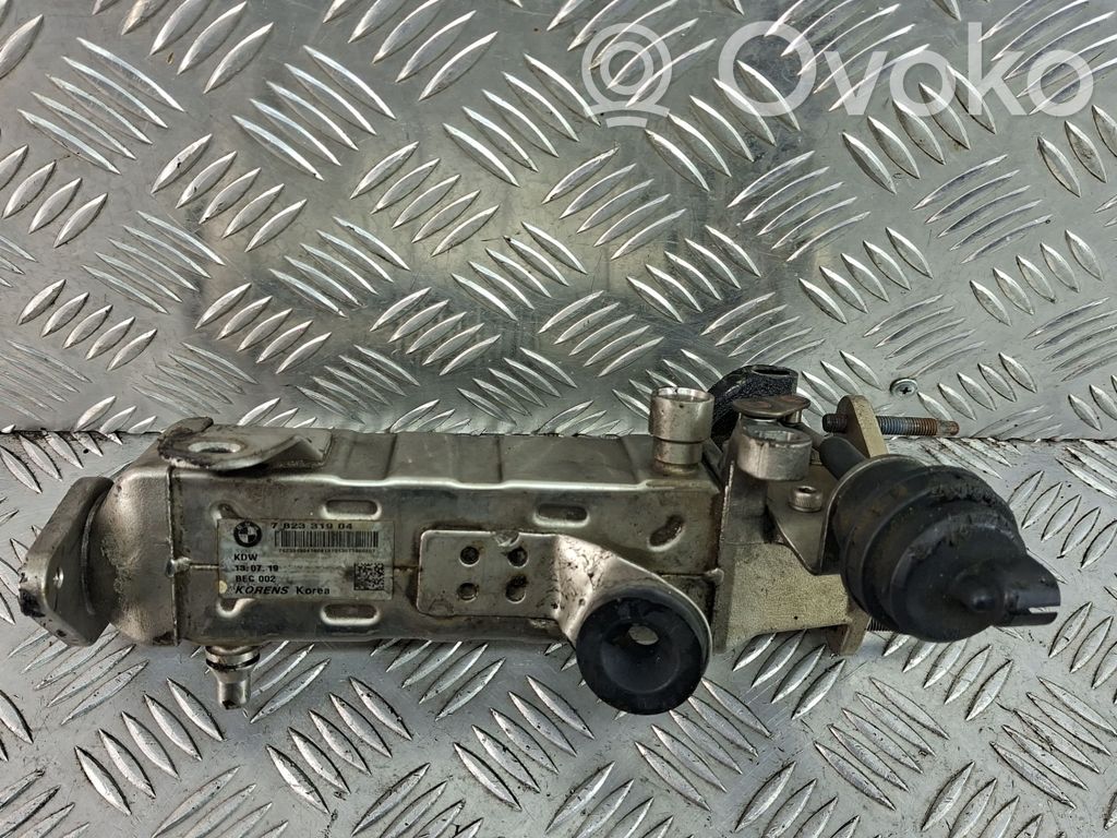 Mini Cooper Countryman R60 Valvola di raffreddamento EGR 