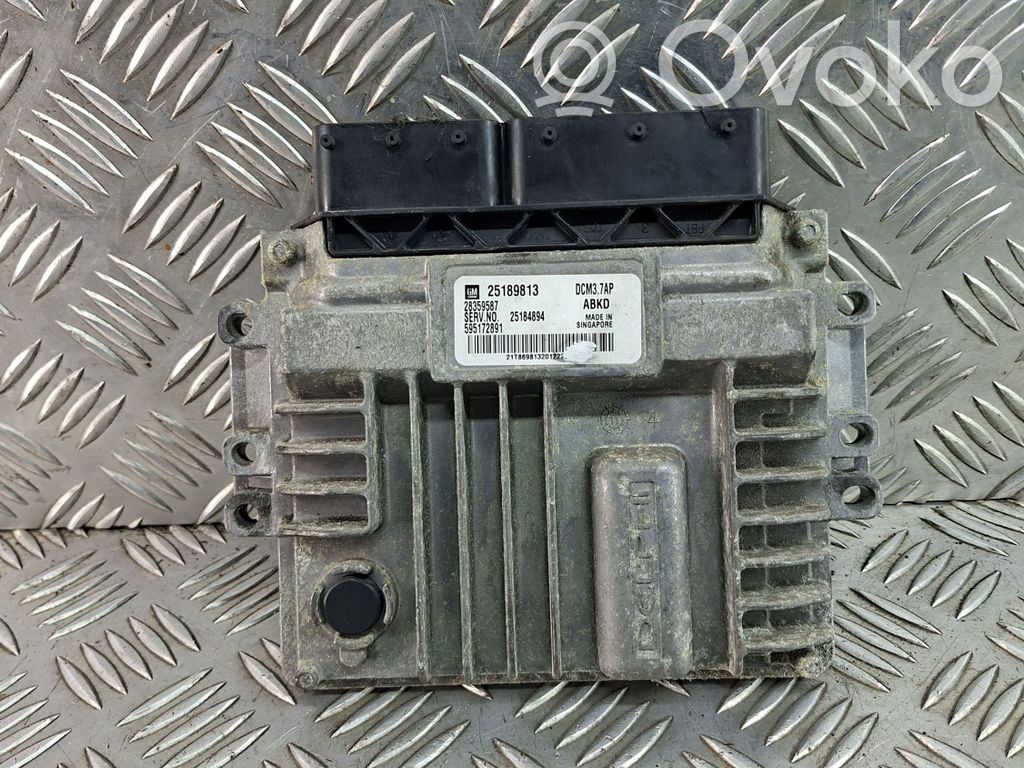 Sterownik / Moduł ECU   25184894,25189813,28359587,59517289