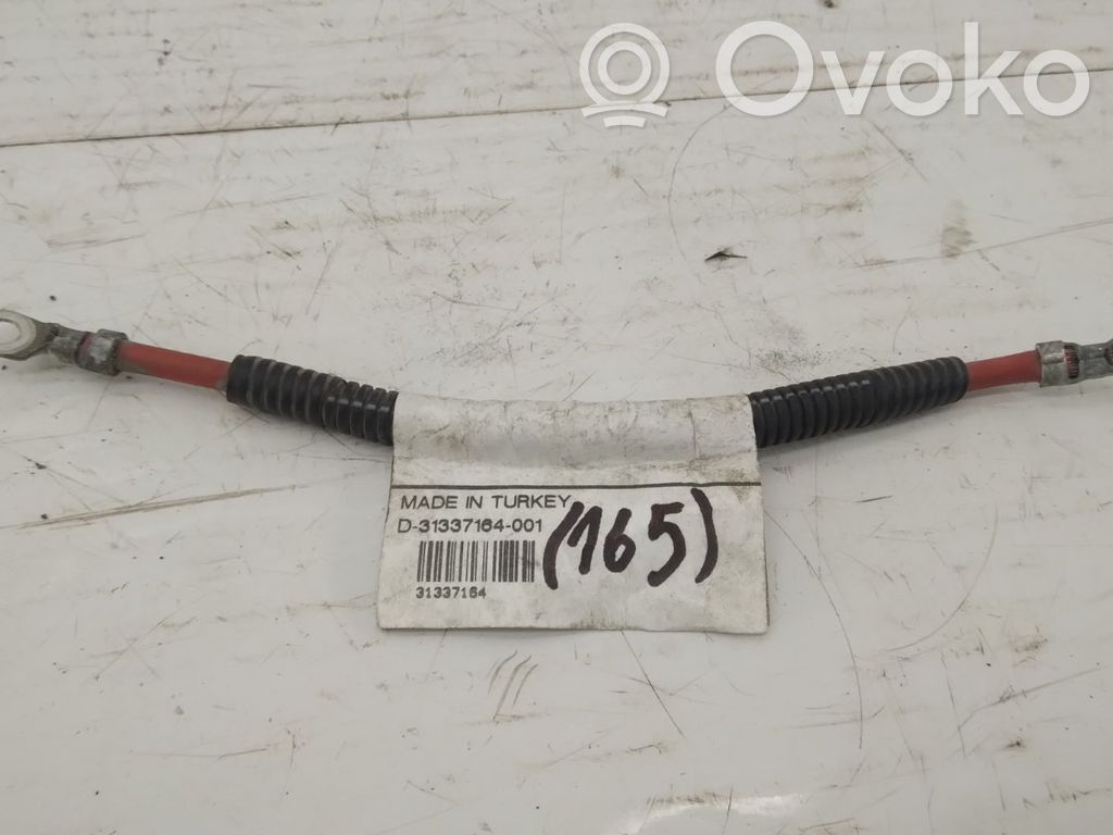 Pluskaapeli (akku)   31337164