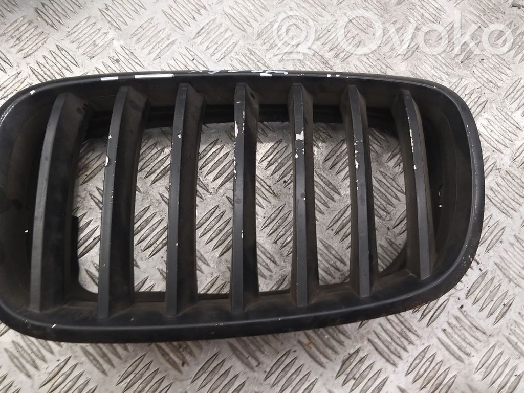 BMW X5 E70 Front bumper upper radiator grill 
