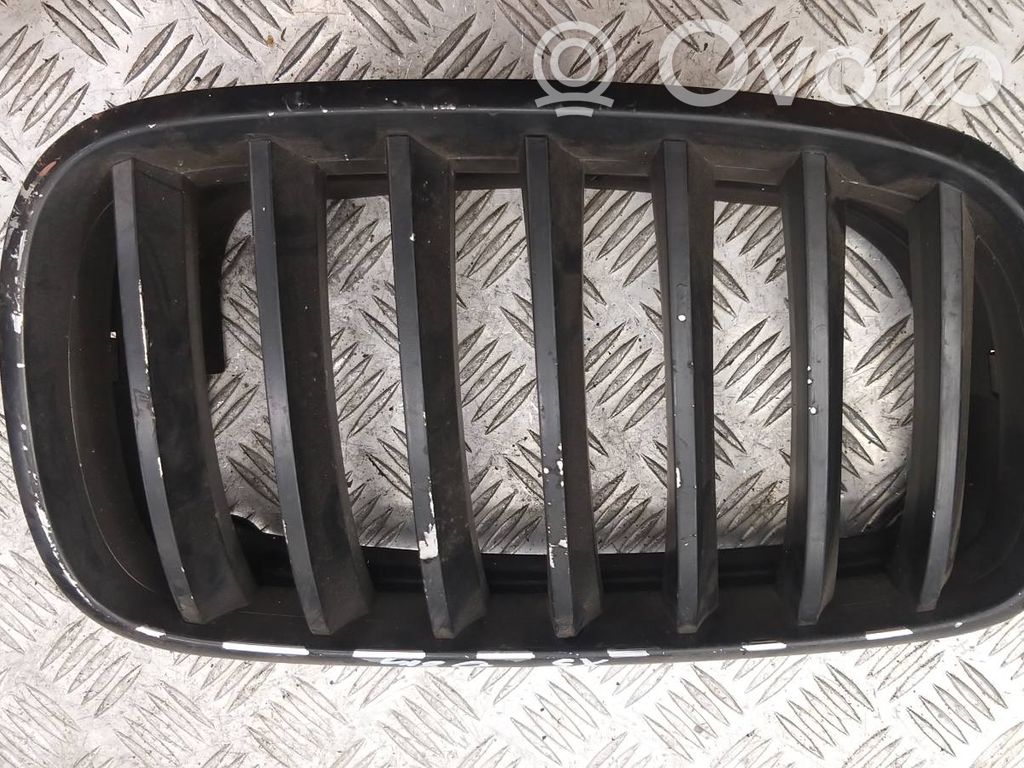 BMW X5 E70 Front bumper upper radiator grill 