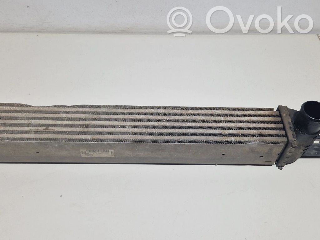 Interkūlerio radiatorius   51790623
